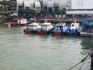 rai tro cot tren bien vung tau